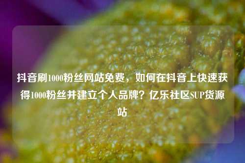 抖音刷1000粉丝网站免费	，如何在抖音上快速获得1000粉丝并建立个人品牌？亿乐社区SUP货源站  第1张